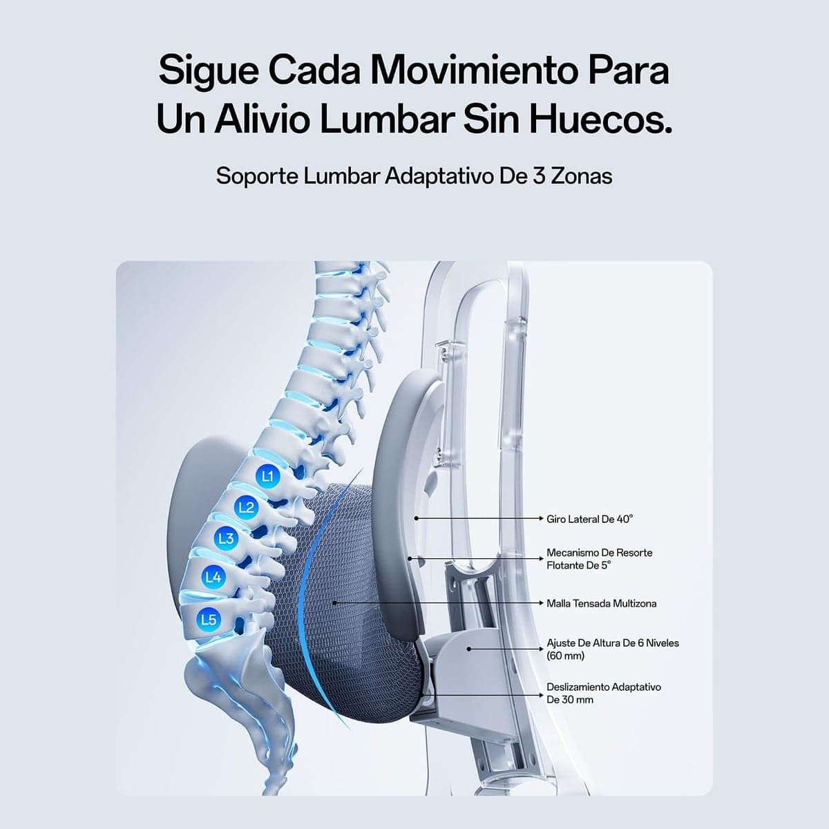 Columna apoyada en un soporte lumbar de tres zonas